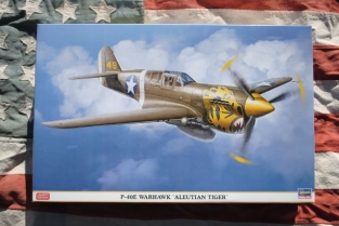 Has08211  P-40E WARHAWK 